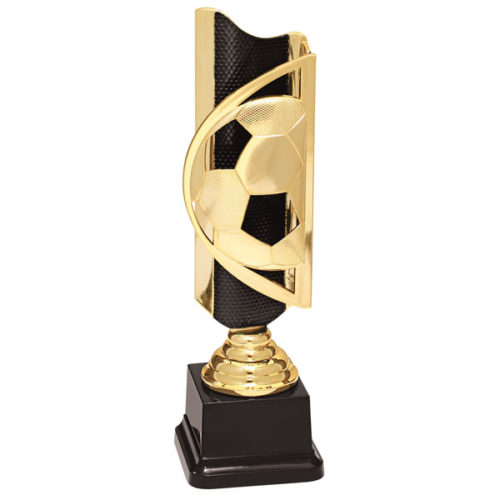 Soccer Triumph Award