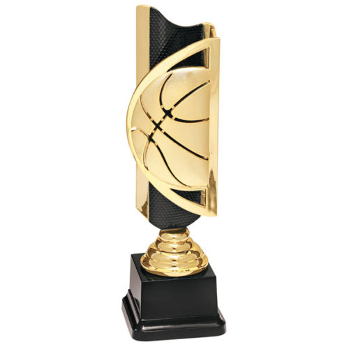 Triumph Basketball Award