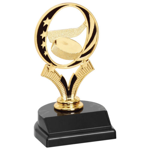 Hockey MidNite Star Trophy