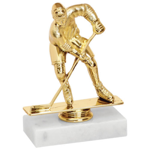 Hockey Trophy