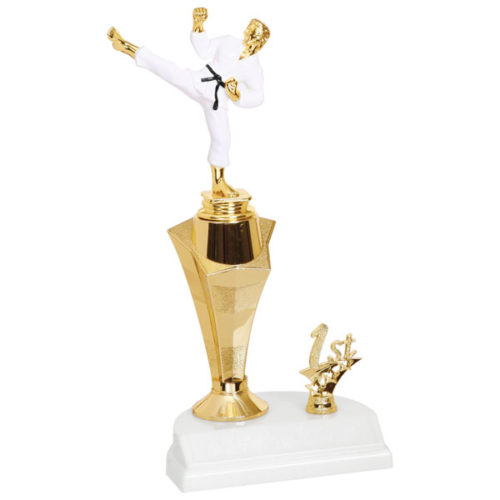 Color Martial Arts Trophy