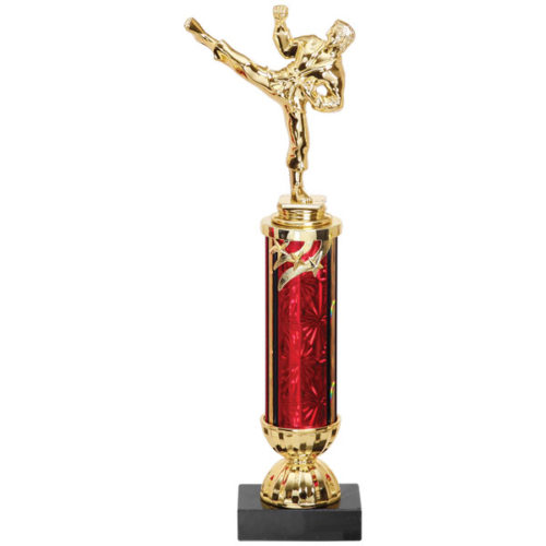 Medium Martial Arts Trophy