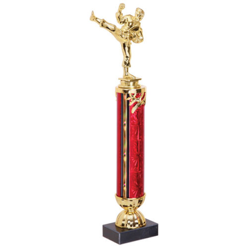 Large Martial Arts Trophy