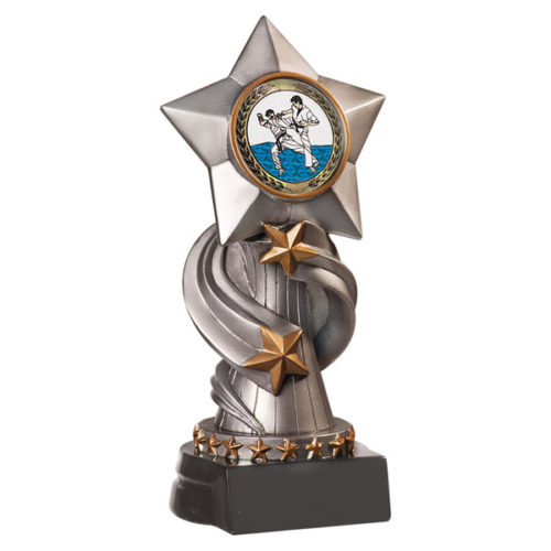 Encore Star Martial Arts Resin with Insert