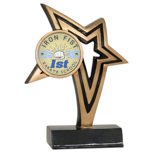 Custom Graphic Infinity Star Martial Arts Resin