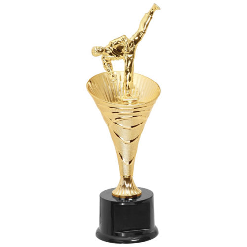 Swirling Martial Arts Trophy