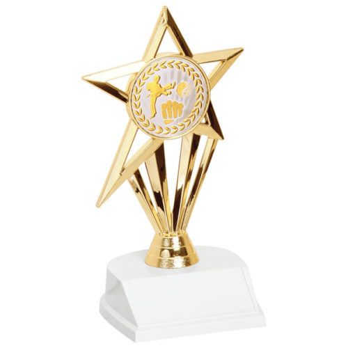 Martial Arts Star Trophy
