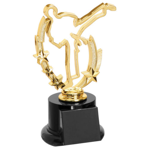 Martial Arts Profile Trophy