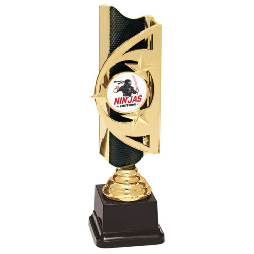 Martial Arts Custom Graphic Triumph Award