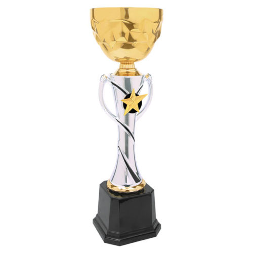 Silver & Gold Metal Cup Trophy