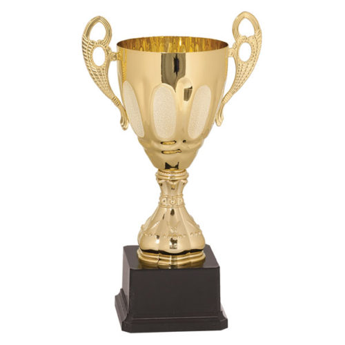 Gold Metal Cup Trophy