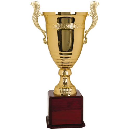 Gold Metal Cup Trophy