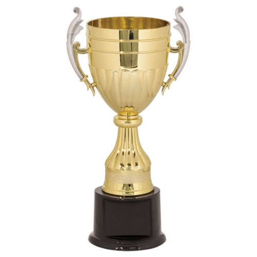 Gold Plastic Cup Trophy