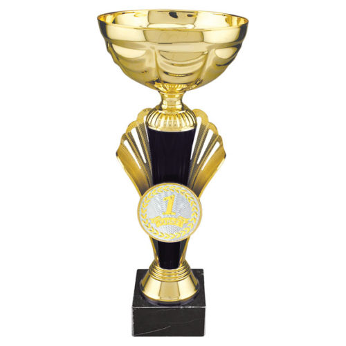 Gold Metal Cup Trophy with Insert