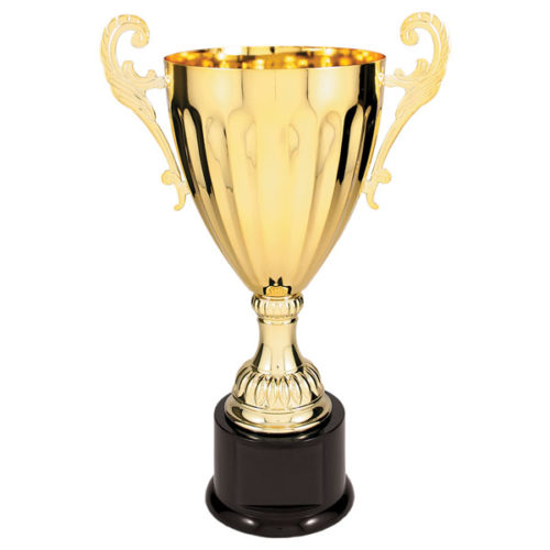 Gold Metal Cup Trophy