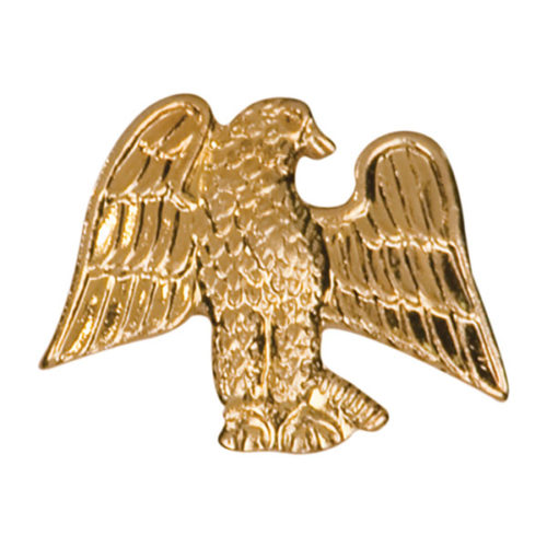 Eagle Chenille Pin