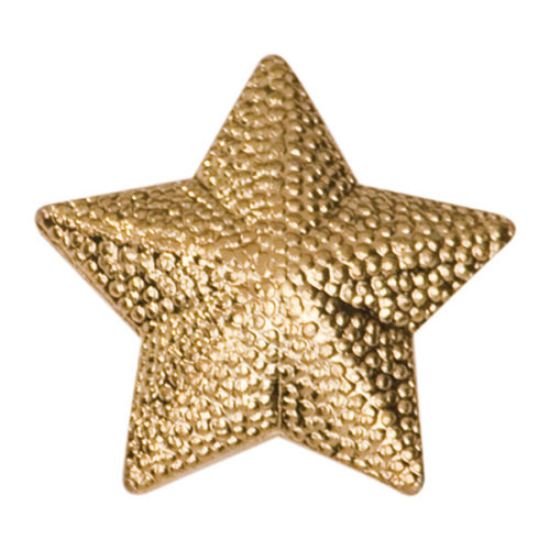 Star Chenille Pin