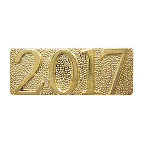 2017 Chenille Pin