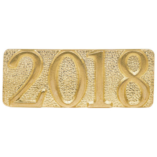 2018 Chenille Pin