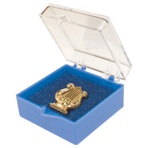 Plastic Box for Chenille Pin