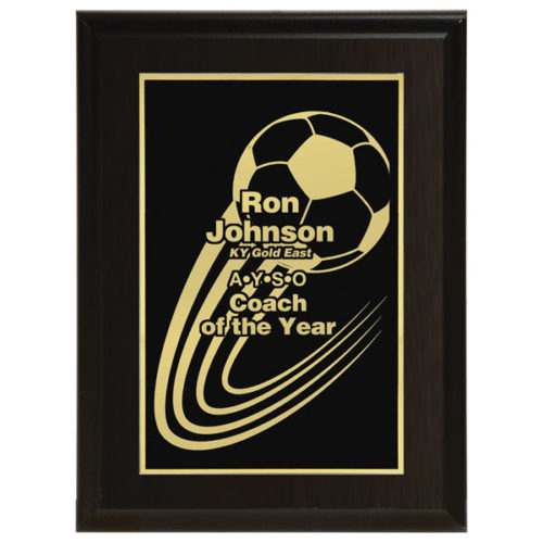 Matte Black Plaque with Plate