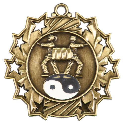 Martial Arts Ten Star Medal
