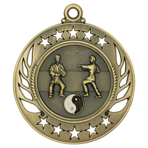 Martial Arts Galaxy Medal