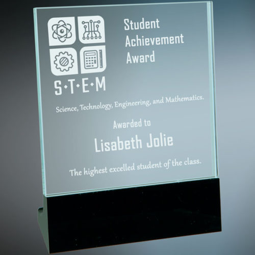 Medium Glass Standup Award