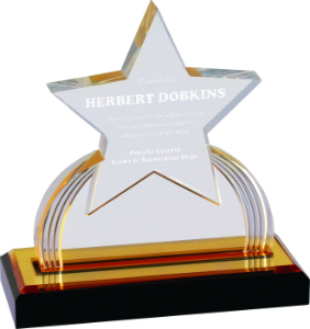 Gold Carved Star Impress Acrylic