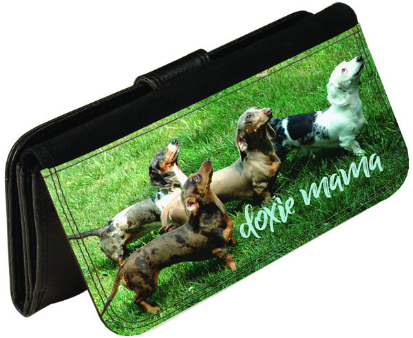 PVC Wallet